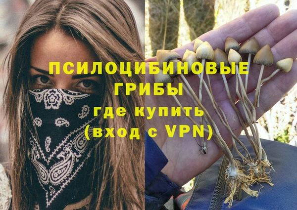 бошки Абинск