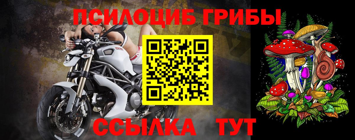 Кашира  Псилоцибиновые грибы Psilocybine cubensis  Вход с VPN 