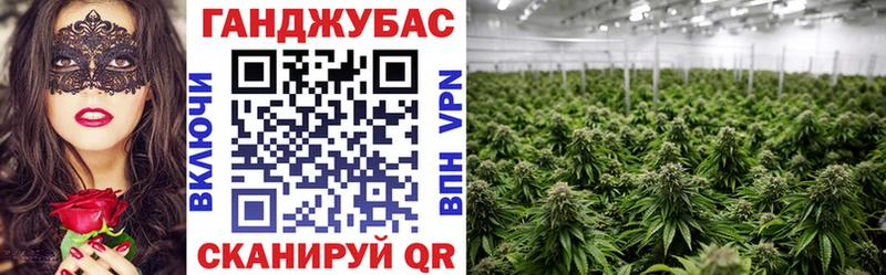 наркотики  Кашира  Каннабис марихуана 