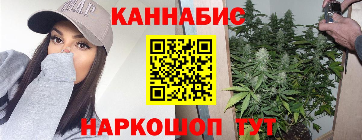 Кашира  Марихуана конопля  МАРИХУАНА марихуана  Вход с VPN  Бошки марихуана конопля  Каннабис индика 